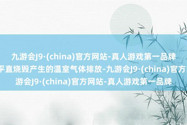 九游会J9·(china)官方网站-真人游戏第一品牌九游会J9范畴一是公司平直烧毁产生的温室气体排放-九游会J9·(china)官方网站-真人游戏第一品牌