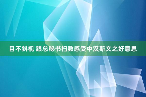 目不斜视 跟总秘书扫数感受中汉斯文之好意思