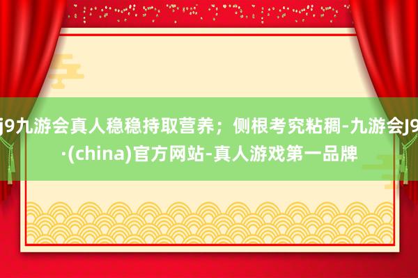 j9九游会真人稳稳持取营养；侧根考究粘稠-九游会J9·(china)官方网站-真人游戏第一品牌