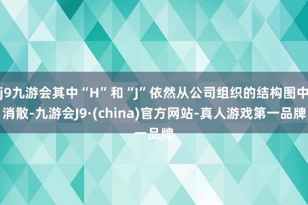 j9九游会其中“H”和“J”依然从公司组织的结构图中消散-九游会J9·(china)官方网站-真人游戏第一品牌