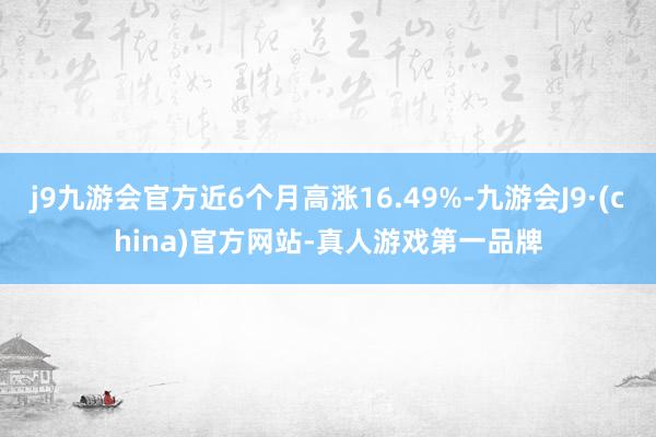 j9九游会官方近6个月高涨16.49%-九游会J9·(china)官方网站-真人游戏第一品牌